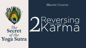 Secret-of-YS-Master-Course-2-lead