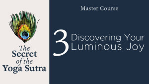 Secret-of-YS-Master-Course-3-lead (1)