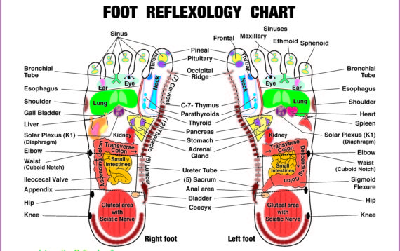 FootChart for postcard