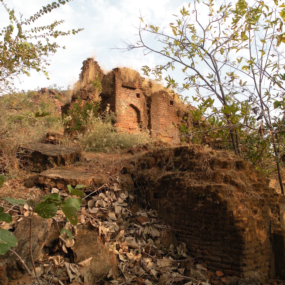 Nearby ruins - Himalayan Institute