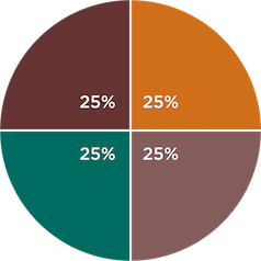 mission-member-pie-chart