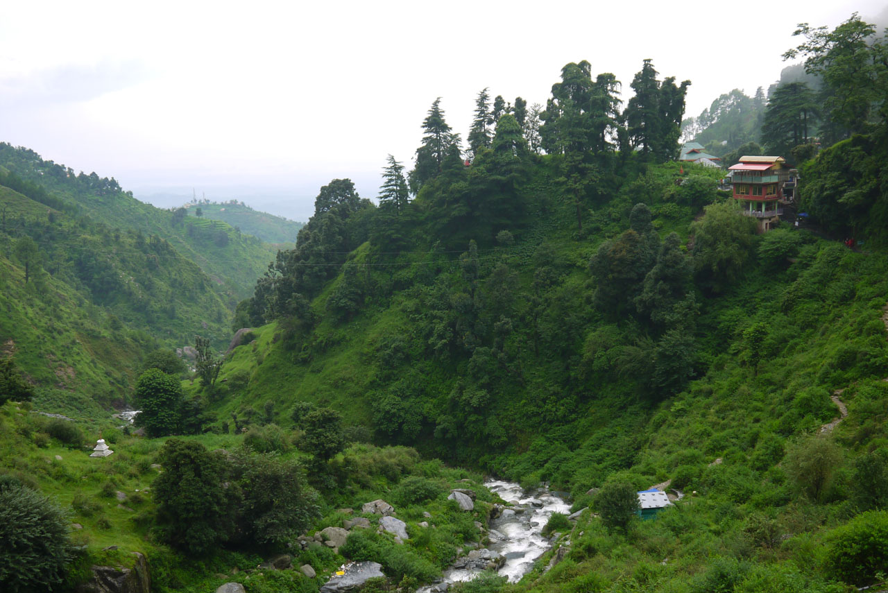se himachal Views surrounding Dharamshala 7 - Himalayan Institute