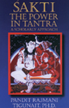 Sakti: The Power in Tantra