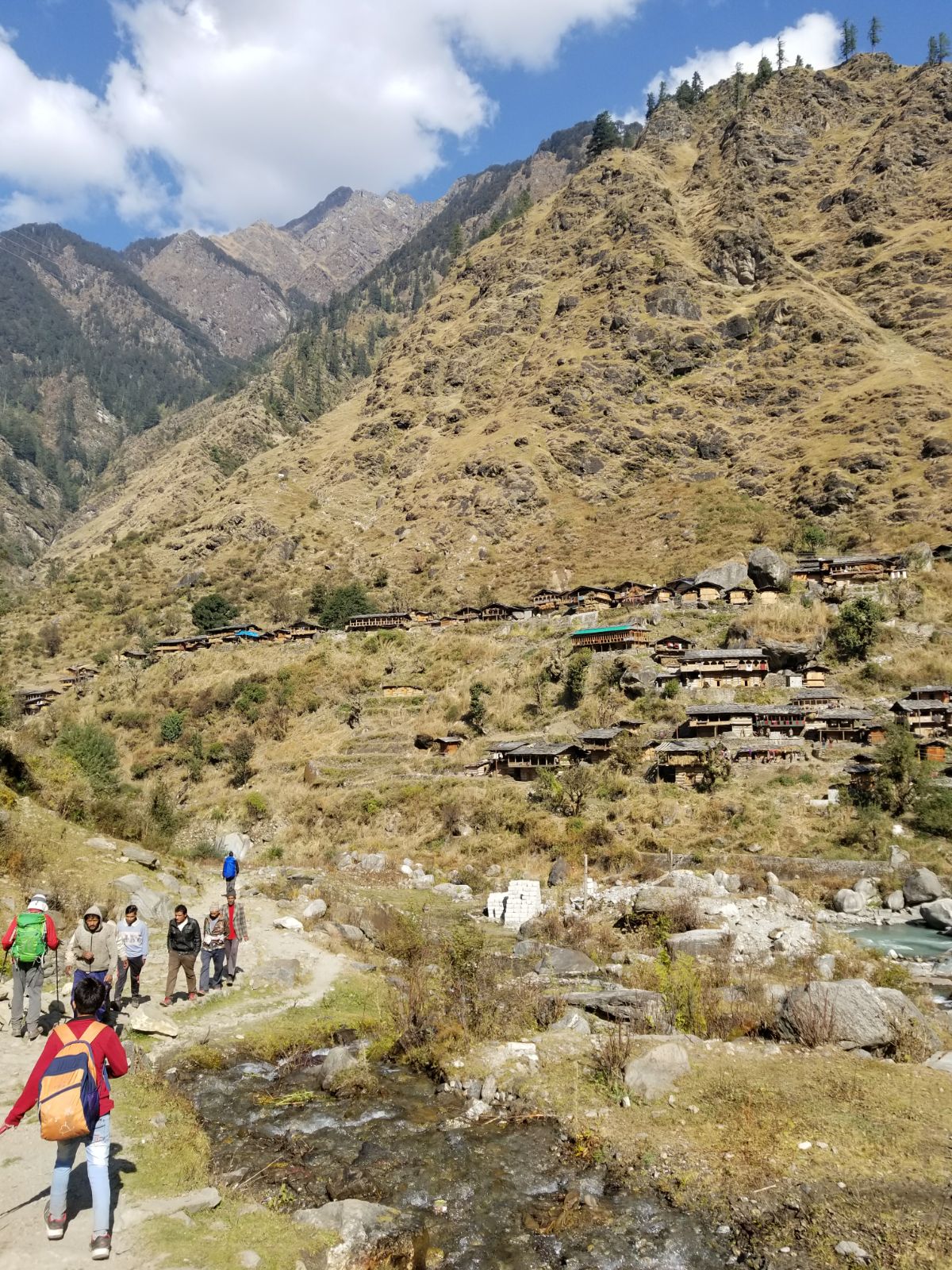 A traditional Himalayan Village - Himalayan Institute