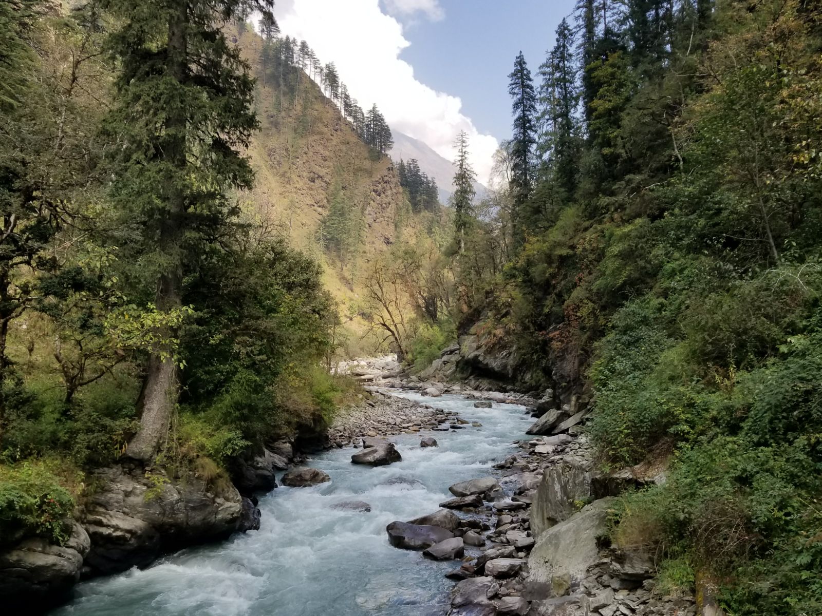 Hiking through lush forests along the Supin river - Himalayan Institute