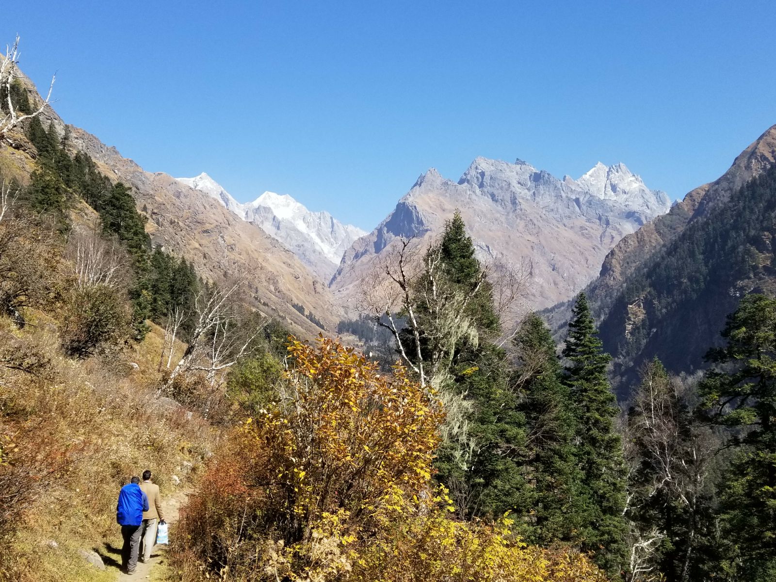 On the trail - Himalayan Institute