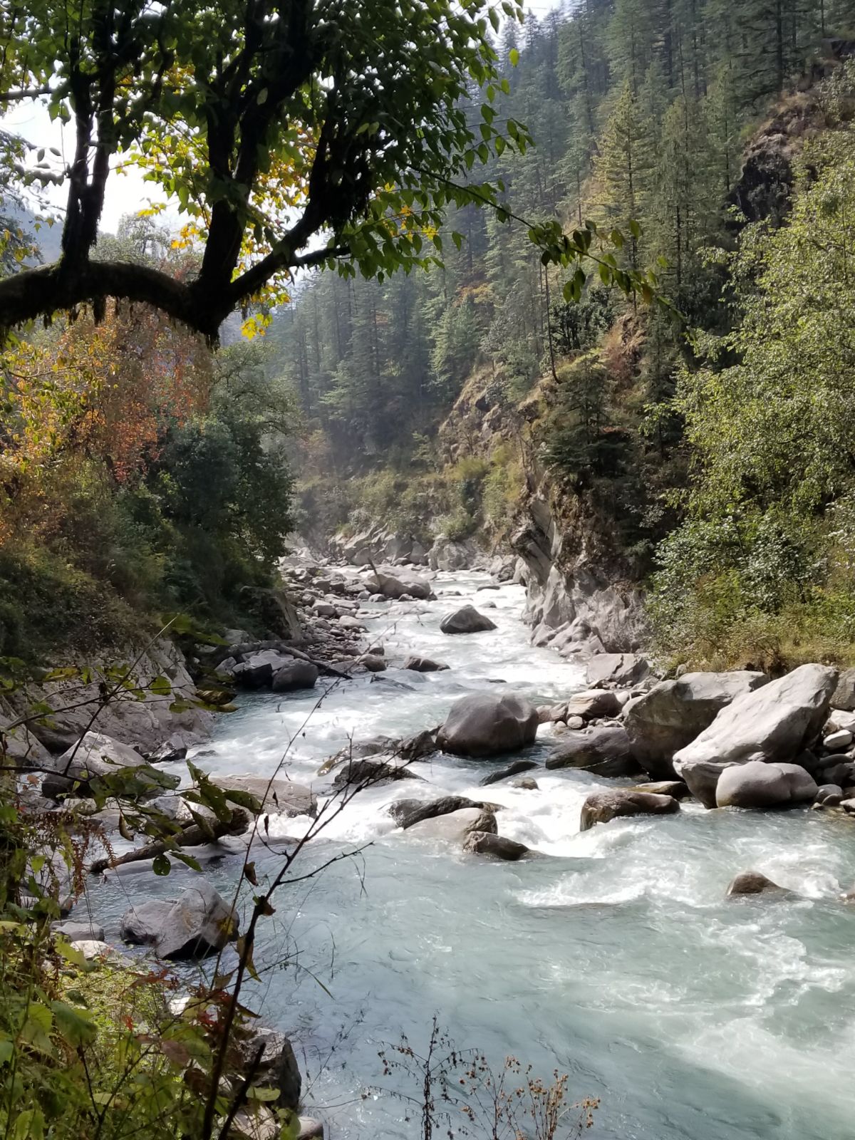The beautiful Supin river - Himalayan Institute