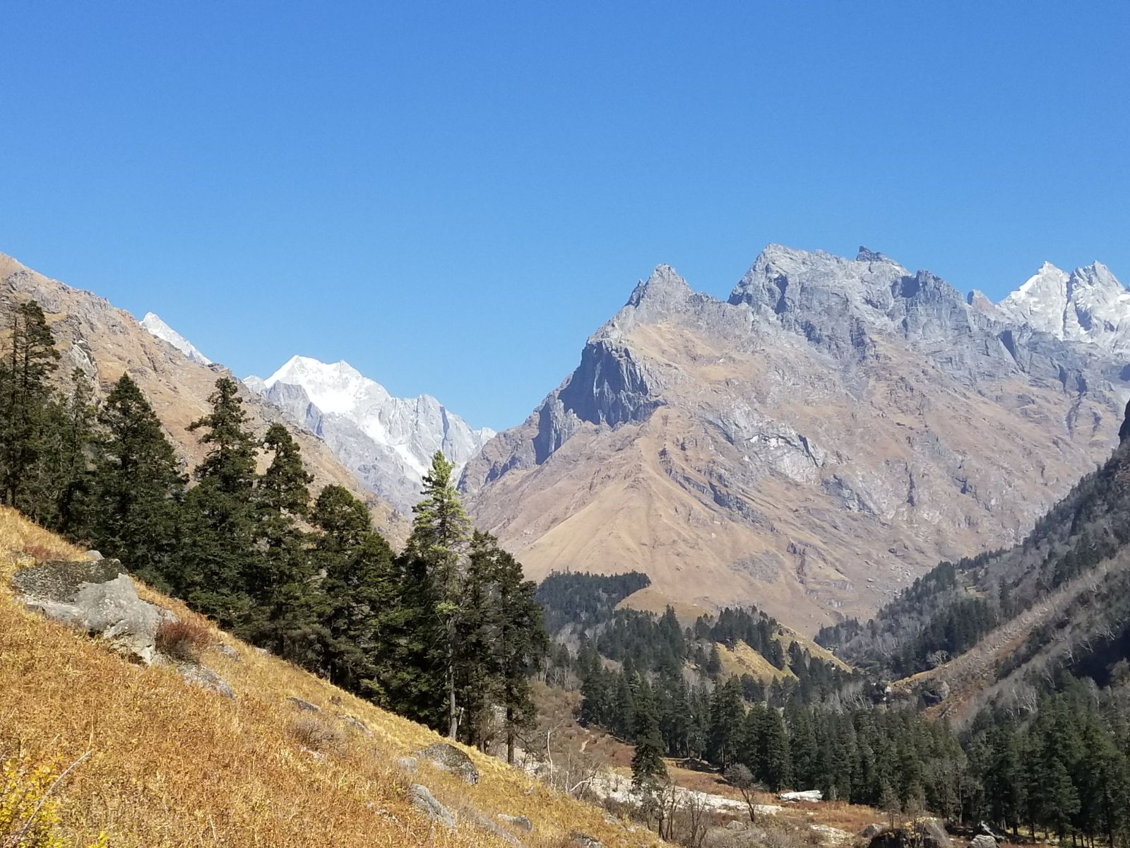 The peaks await - Himalayan Institute