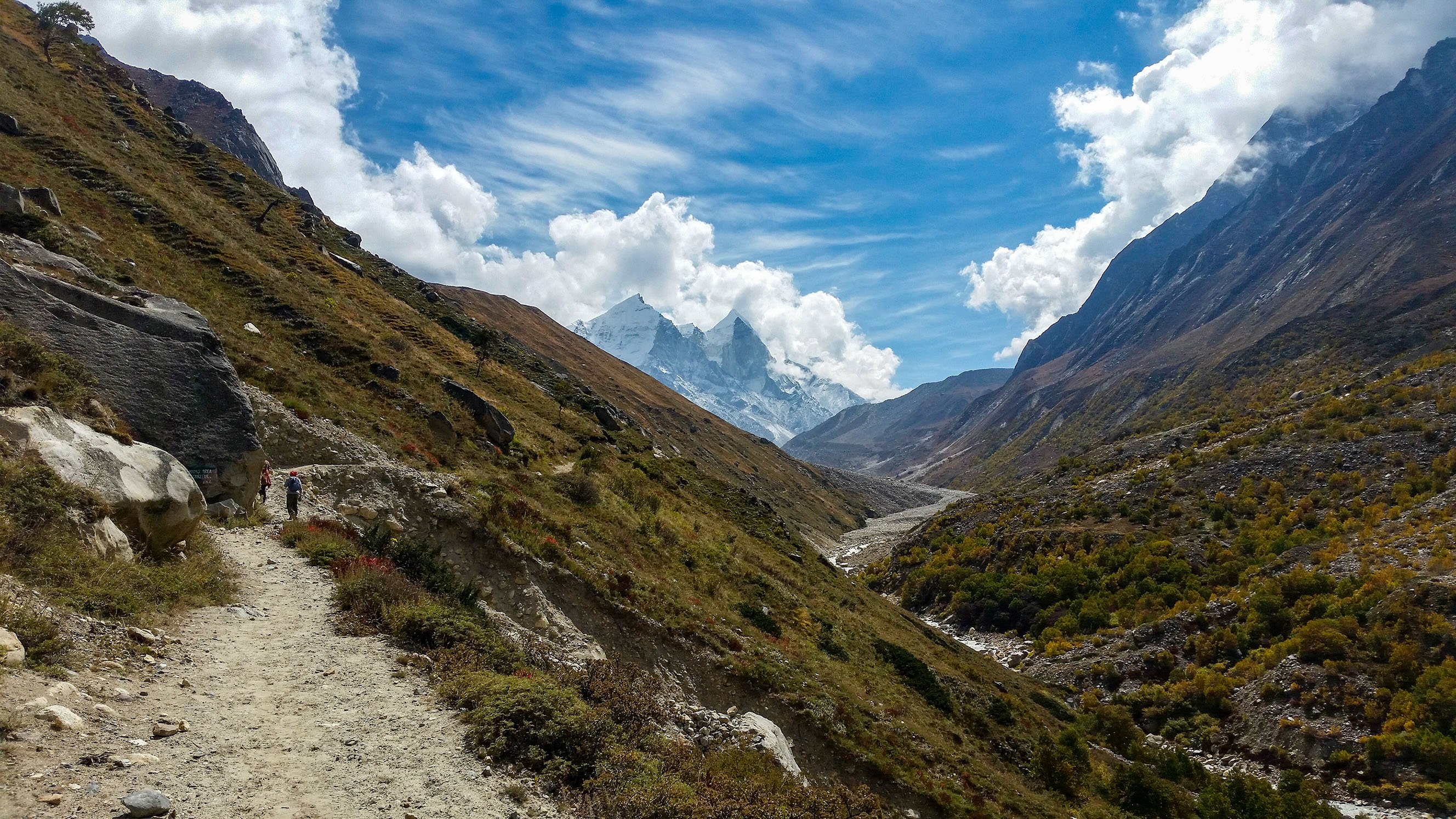 trail to gaumukh - Himalayan Institute