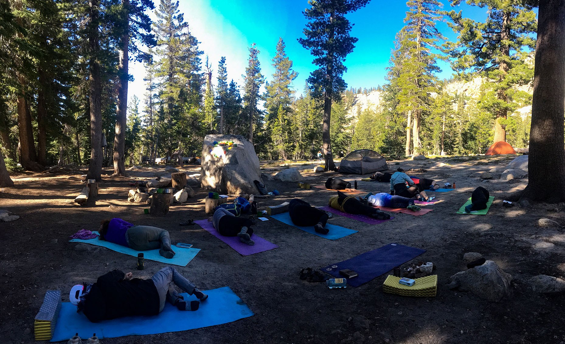 Yoga in the Forest - Himalayan Institute