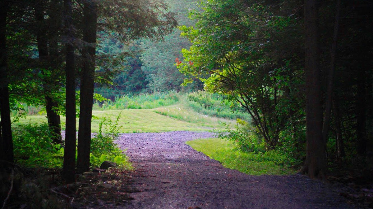 Trail leading to the Sunset Pond