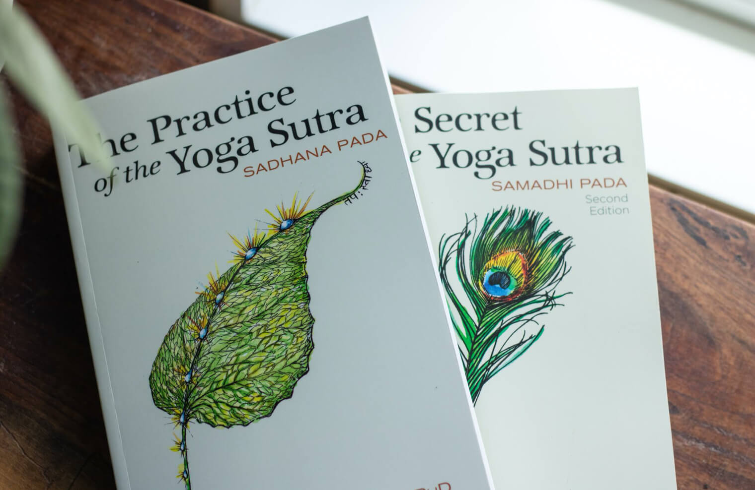 The Secret of the Yoga Sutra: Samadhi Pada – Himalayan Institute