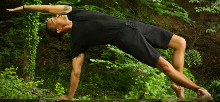 the nature of yoga mark nelson featured - Himalayan Institute