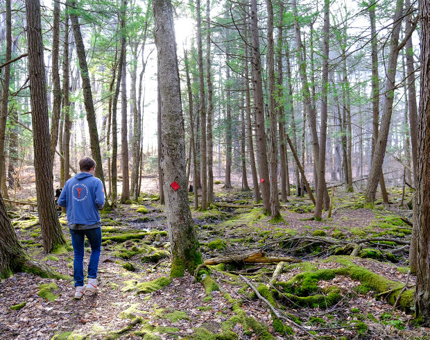 Red Trail Hike