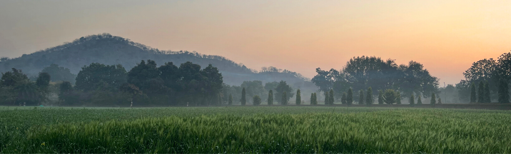 khajuraho fields sunset banner - Himalayan Institute
